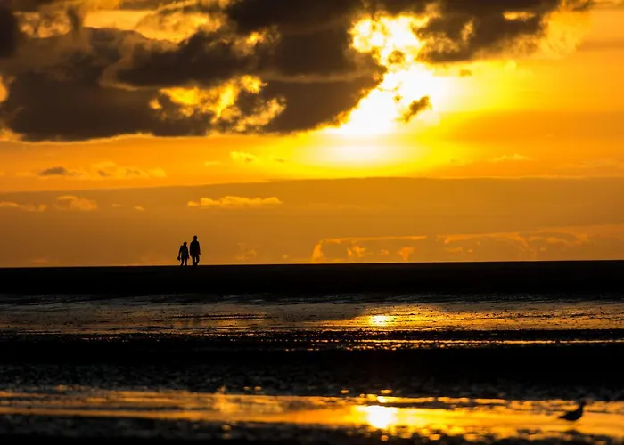 Deichblick Suederloog 40 Whg 4 Апартаменты *